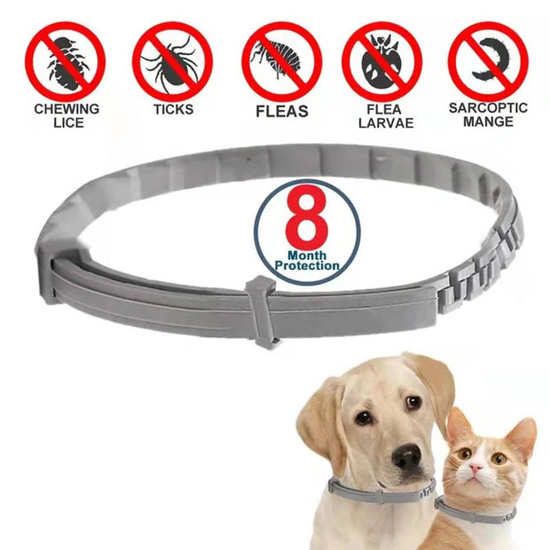 Flea & Tick Collar for Dogs and Cats – Long-Lasting Protection | Waterproof, Adjustable & Safe Pest Control