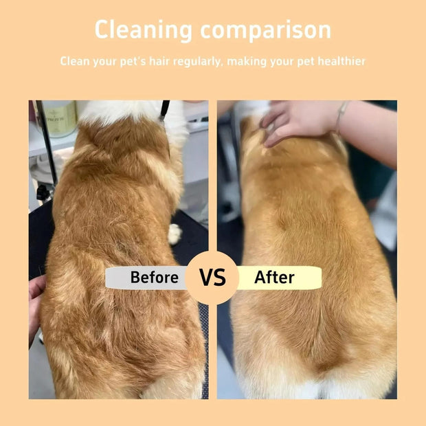Pet Hair & Flea Comb – Gentle Grooming for Cats & Dogs, Removes Loose Fur & Parasites