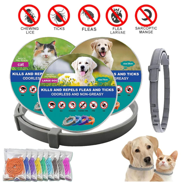Flea & Tick Collar for Dogs and Cats – Long-Lasting Protection | Waterproof, Adjustable & Safe Pest Control