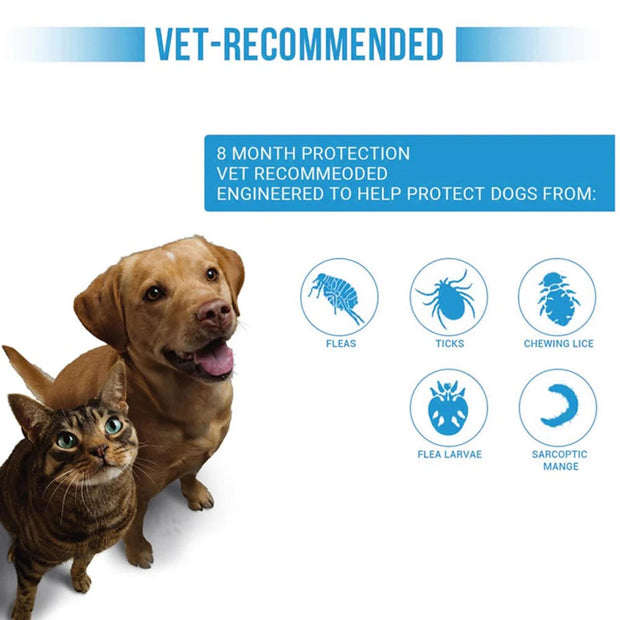 Flea & Tick Collar for Dogs and Cats – Long-Lasting Protection | Waterproof, Adjustable & Safe Pest Control